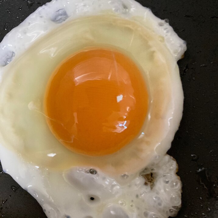 黄身がプリプリ半熟卵